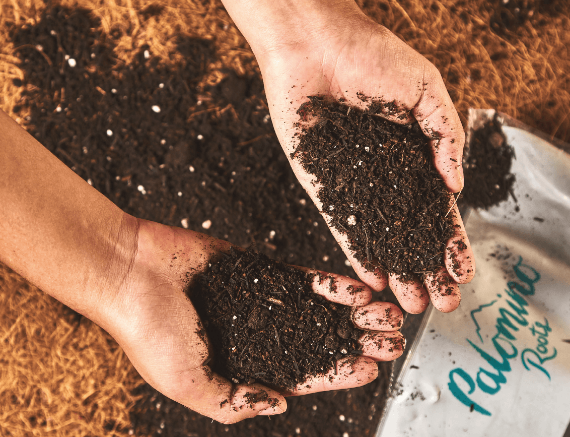 SOIL FOR PLANTS